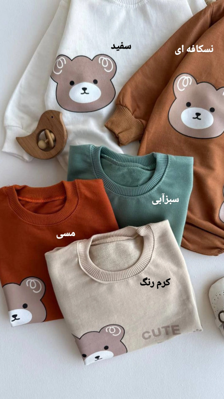 بادی دورس چاپی تدی